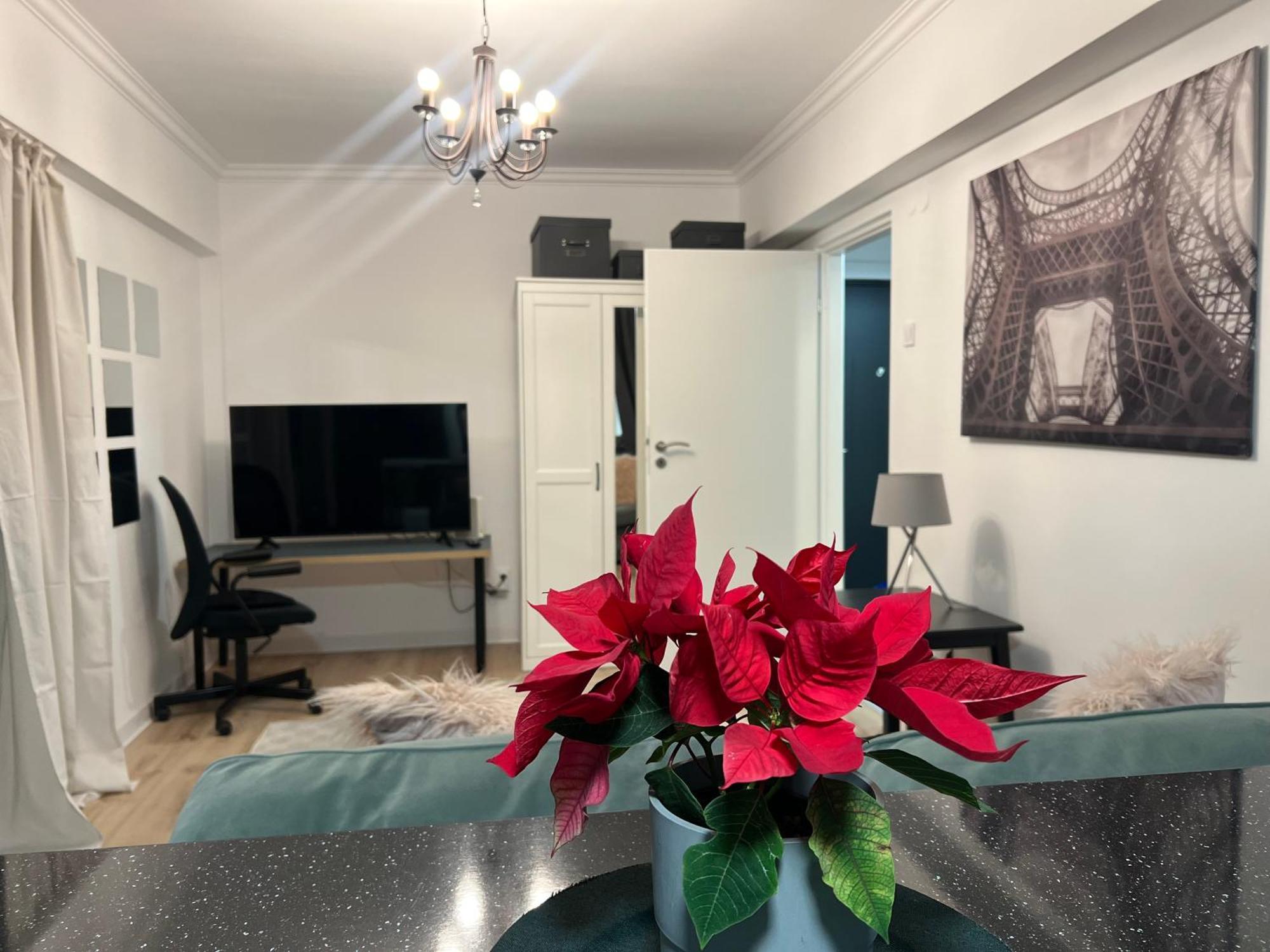 Cosy Studio Floreasca Bukarest Kültér fotó