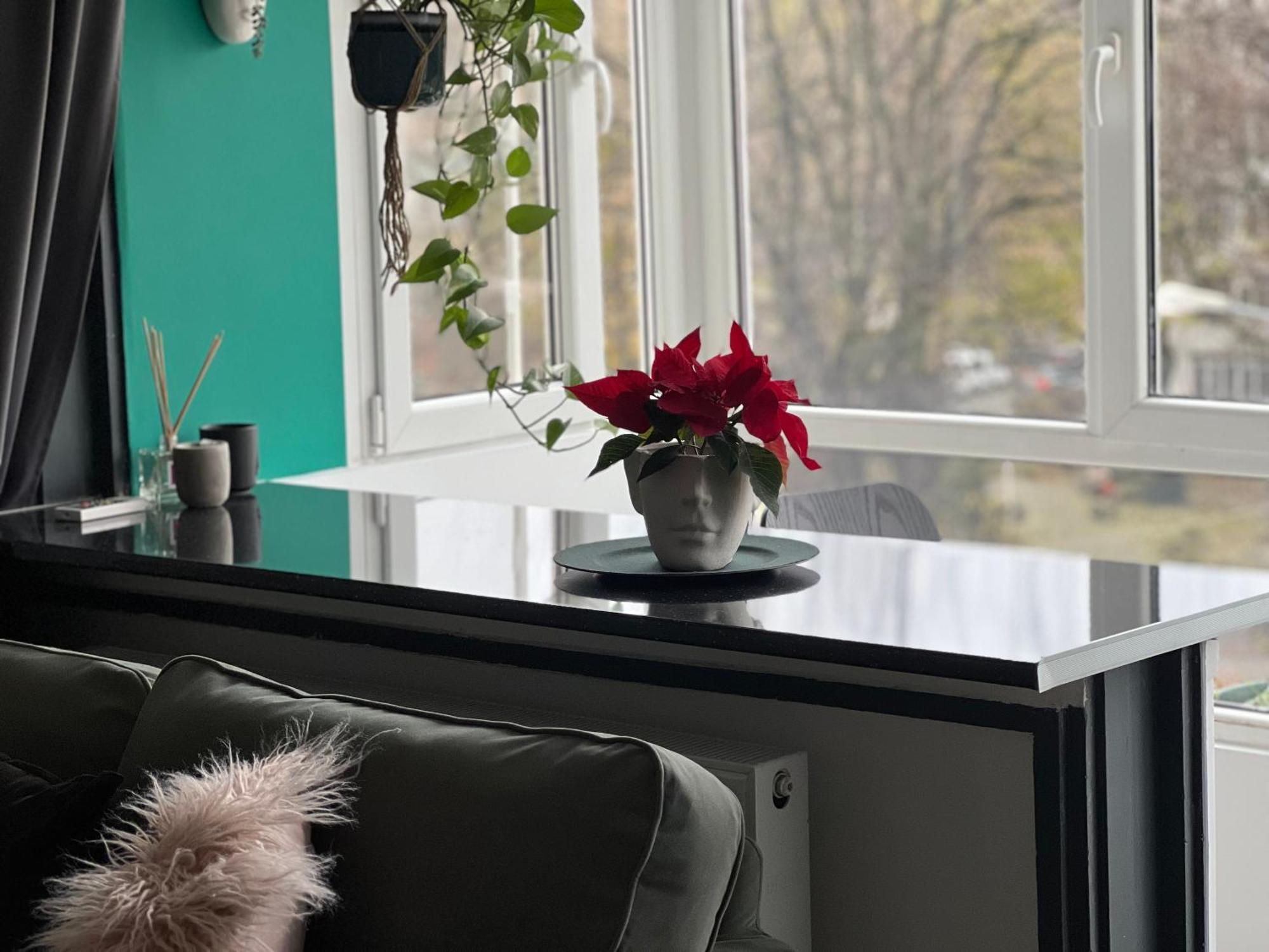 Cosy Studio Floreasca Bukarest Kültér fotó