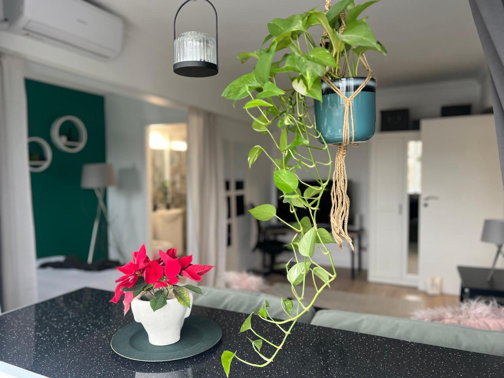 Cosy Studio Floreasca Bukarest Kültér fotó